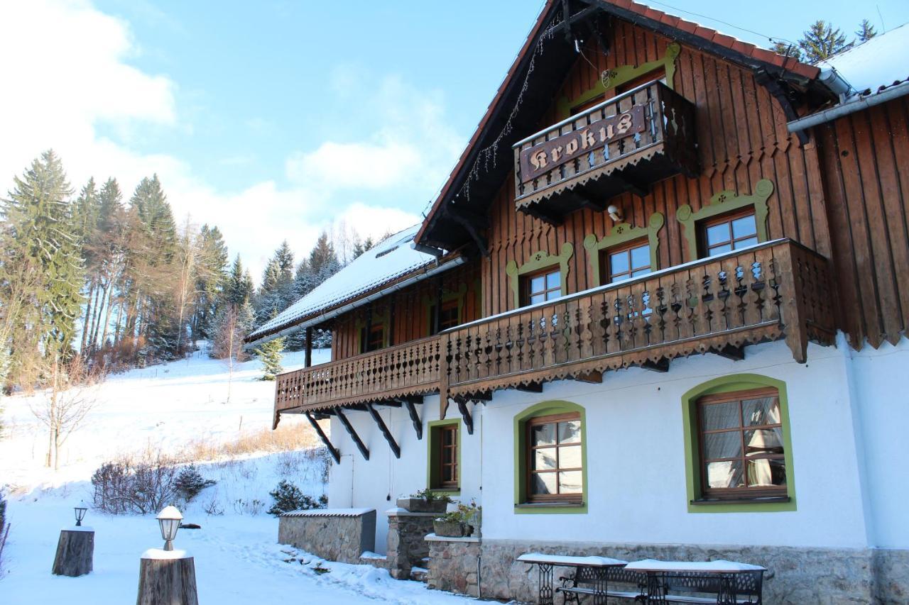 Willa Krokus Międzygórze Exterior foto
